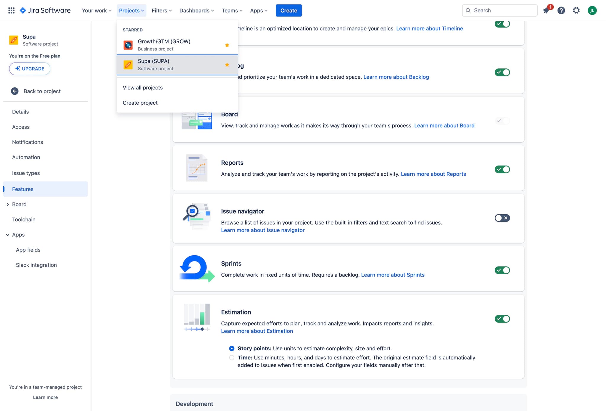 Confirm Software project type