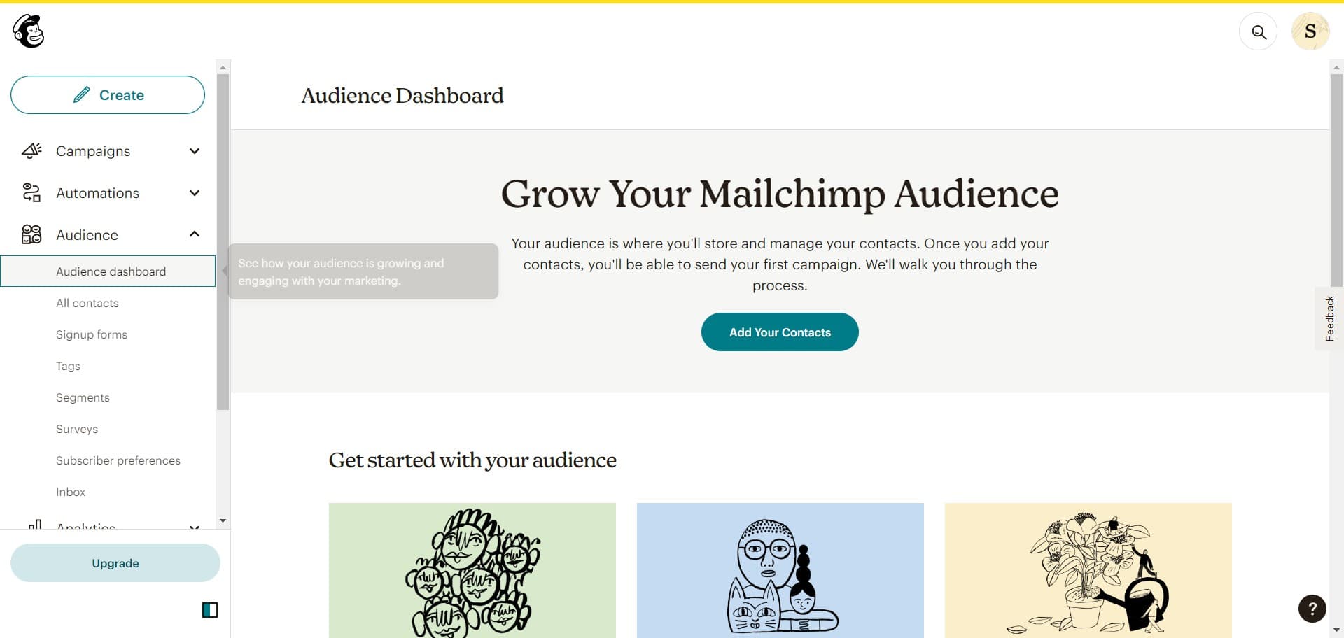 Click on Audience dashboard