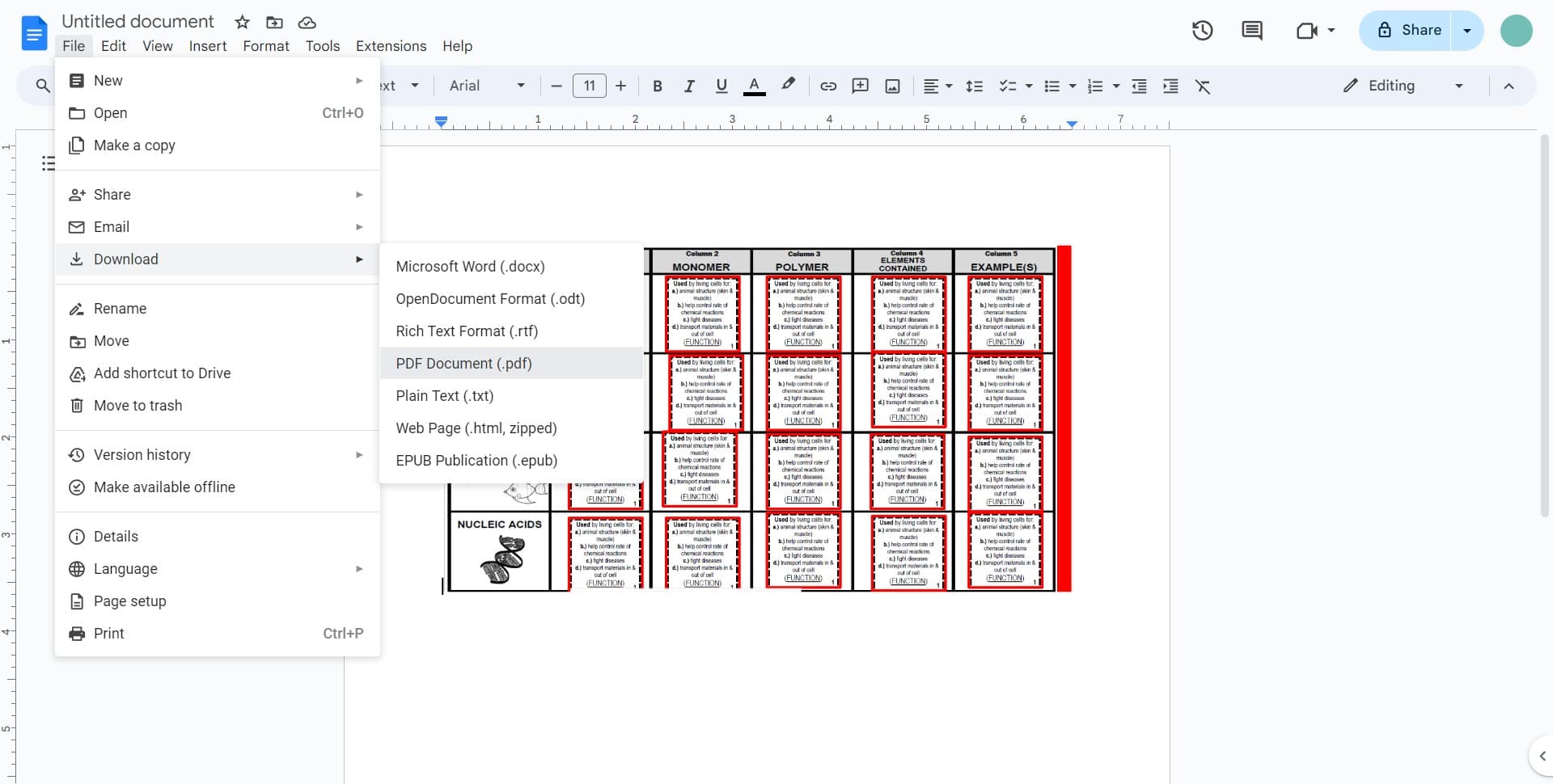 Choose PDF Document format