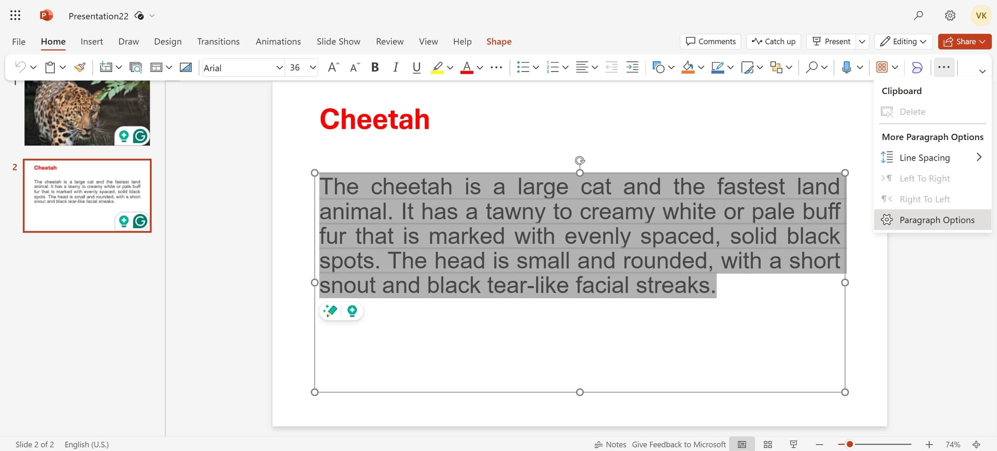 Access paragraph options