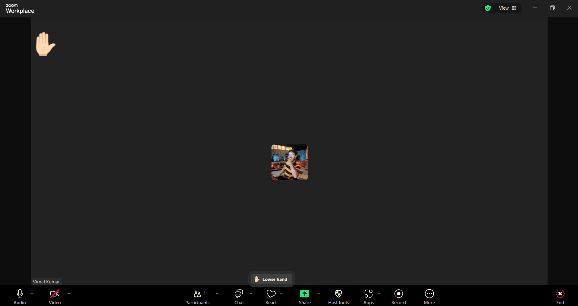 Wait for host recognition