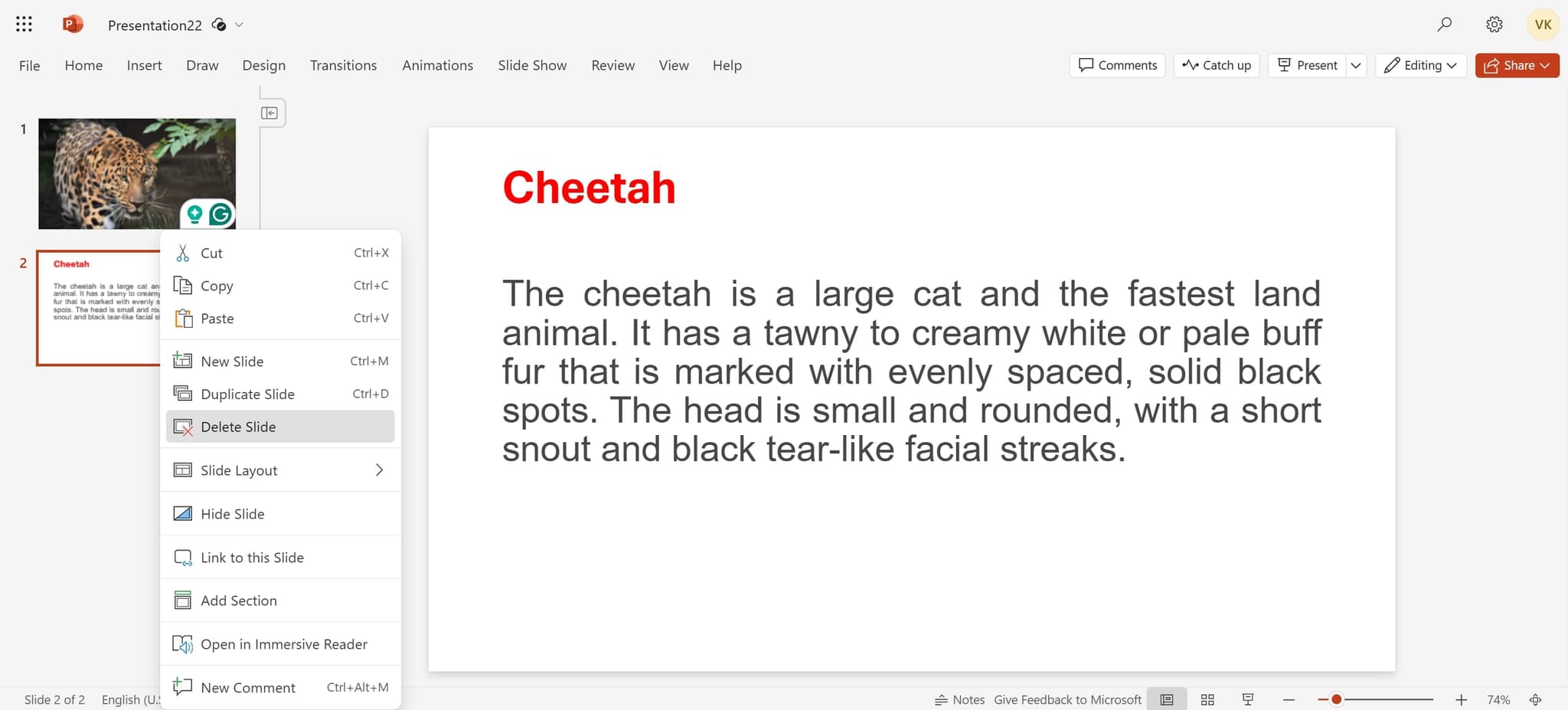 Delete the selected slide