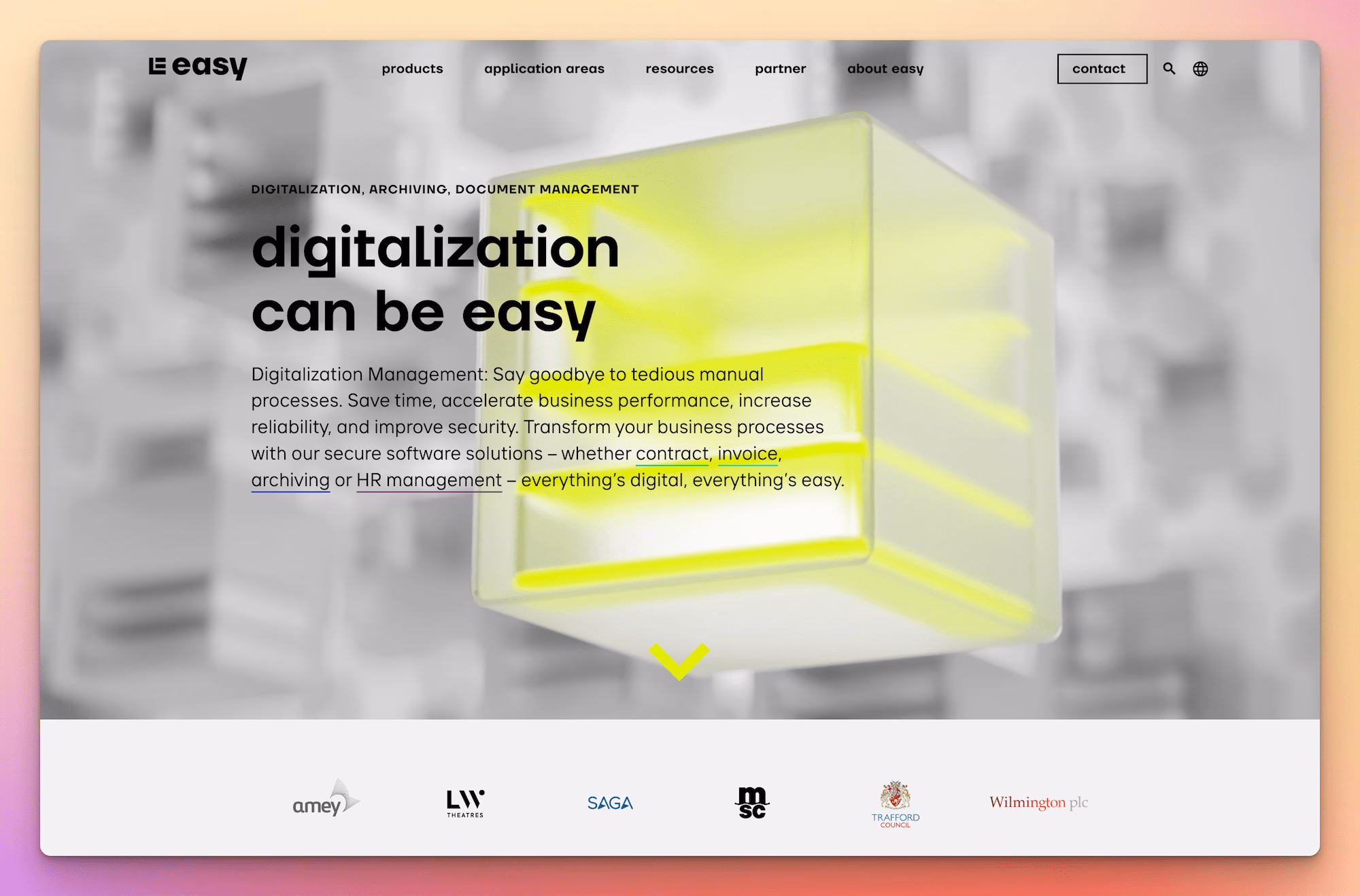 Easy Software demo screenshot