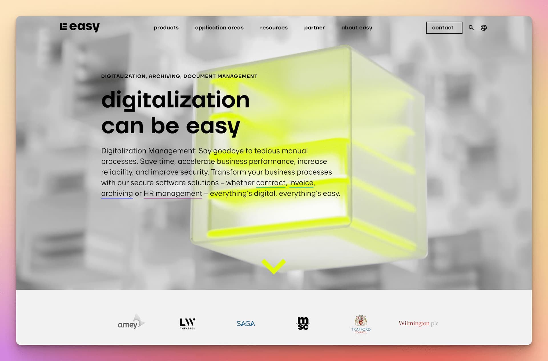 Easy Software demo screenshot