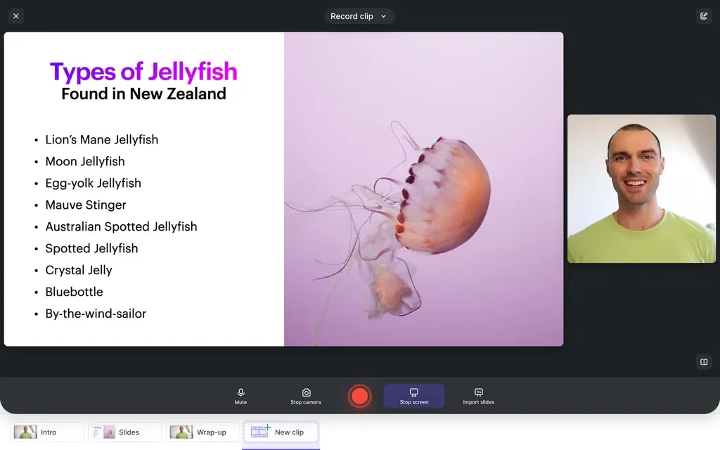 Tella video recording interface displaying a presentation slide on jellyfish types, a webcam feed of the presenter, and recording controls.