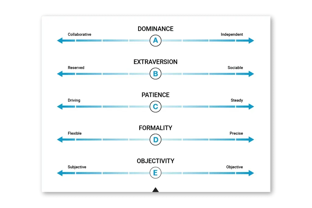 PI offers an interactive quiz that helps users identify their behavioral type and team fit