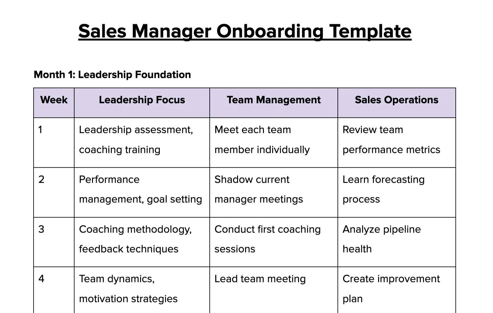 Sales Manager Onboarding Template Preview