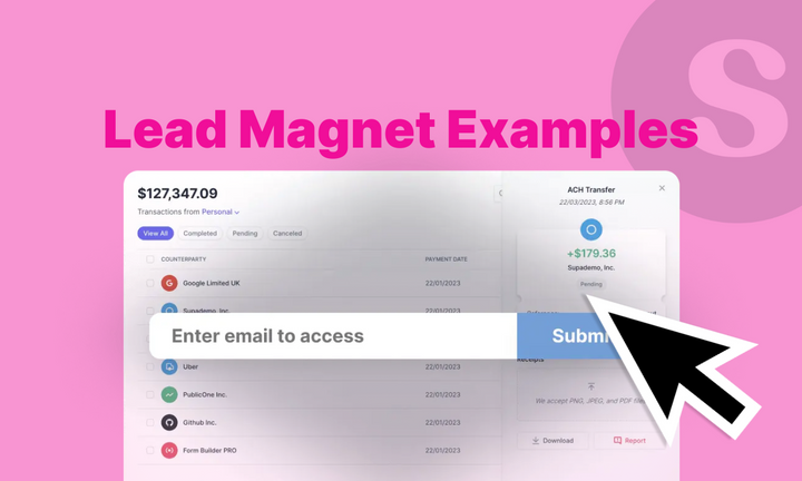 Lead Magnet Examples cover
