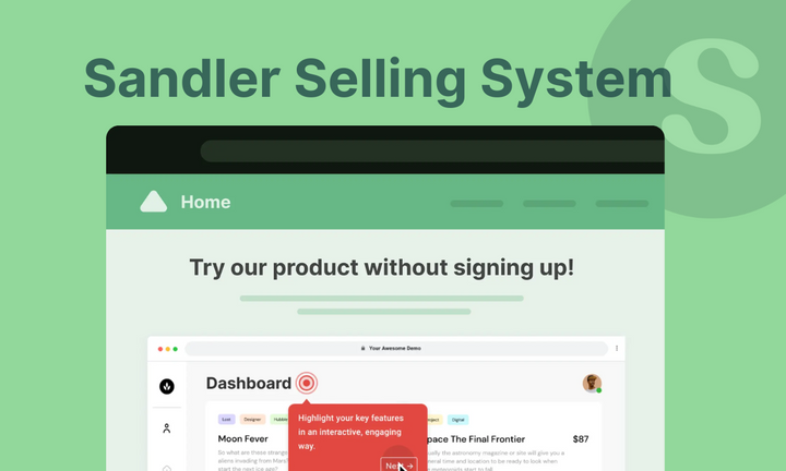 Sandler selling system guide